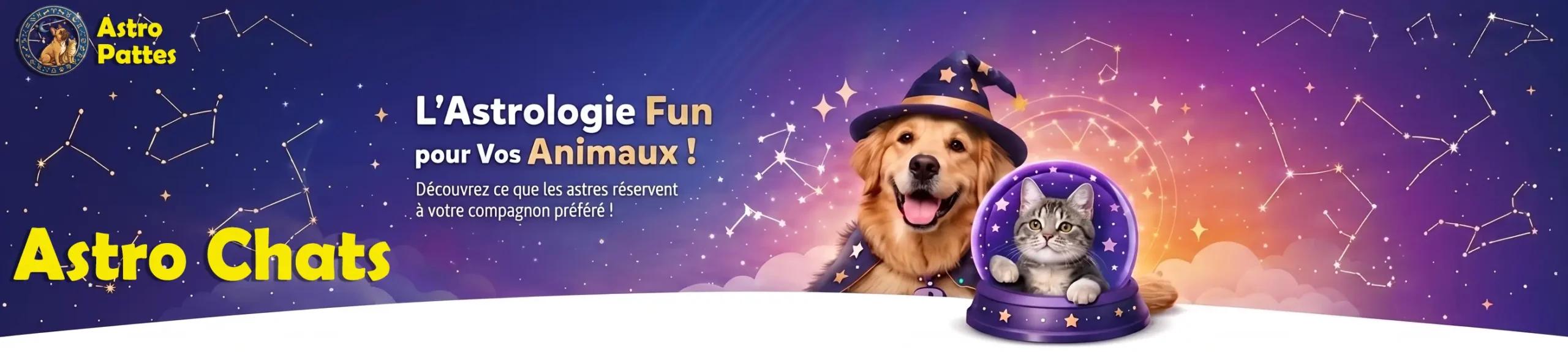 Banniere Chats
