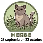 Herbe