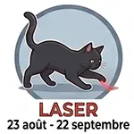 Laser