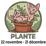 Plante