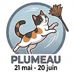 Plumeau